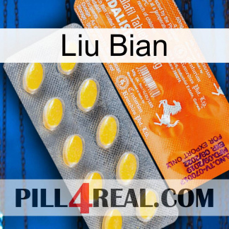 Liu Bian new05